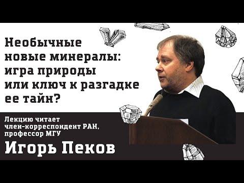 Необычные новые минералы: игра природы или ключ к разгадке ее тайн? - лекция Игоря Пекова в КНЦ