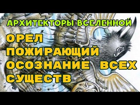 Орел пожирающий осознание всех существ | Другая вселенная и другие мы | Пространство вариантов