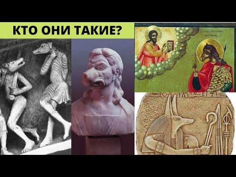 Псеглавцы , кинокефалы жили совсем недавно : факты