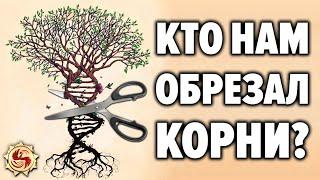 Кто заставил нас забыть предков ? Устройство славянской родовой системы