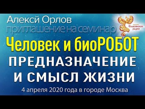 Человек или биоробот?