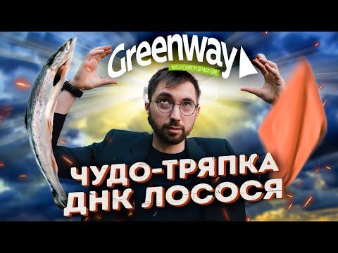 ОБМАНЕМ вас ДОРОГО! Разбор Greenway. Финансовые пирамиды