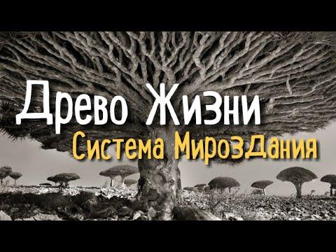 Дерево Мироздания //  ченнелинг