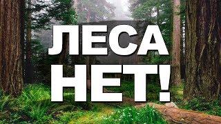 На земле ЛЕСОВ НЕТ!  Феноменальные факты!