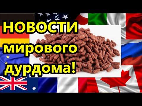 НОВОСТИ Международного дурдома Во что играют большие начальники ! // Америка народ американцы США