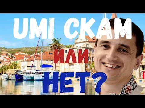 UMI  СКАМ или нет? Как устроены пирамиды на крипте?