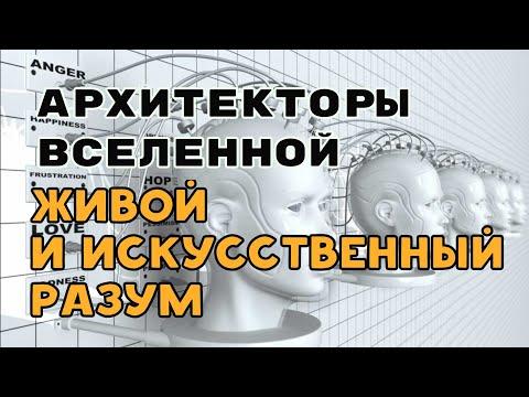 Различие между живым и машинным разумом | Откуда берутся эмоции  Разговор с Архитекторами Вселенной.