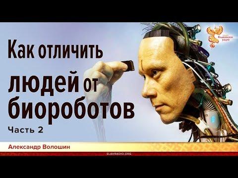 Как различать людей и биороботов. Александр Волошин. Часть 2