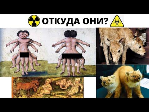 Откуда ядерные мутанты 17-18 века ? От взрыва керосиновой лампы ?