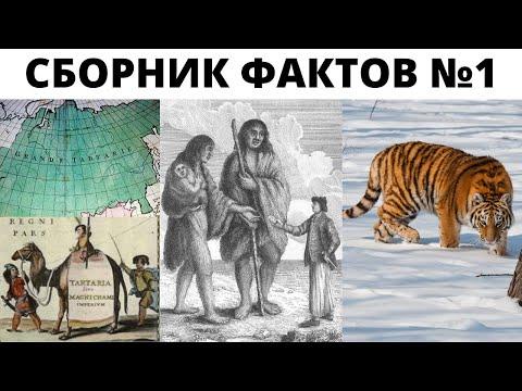 Тартария , Великаны , изменение климата , Арии , гусли , ментальные путешествия наших предков