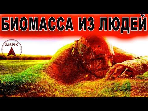 Вот как ПОГИБШИЕ в потоп СТАЛИ массой ЧЕРНОЗЁМА