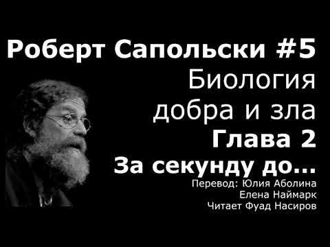 Мезолимбическая, мезокортикальная...| Глава 2 За секунду до..| Роберт Сапольски Биология добра и зла