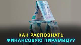 Обманули на 700 млн | Финансовые пирамиды | Специальный репортаж