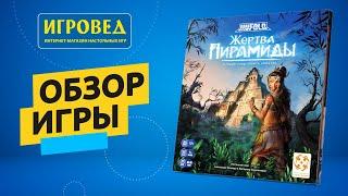 Жертва Пирамиды. Обзор настольной игры от Игроведа